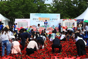 곡성 기차마을, 천만 송이 장미로 물든다… 공연·야경 어우러진 봄나들...